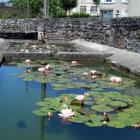 Lavoir du bournat