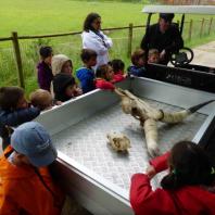 Parc animalier du Reynou