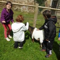 Parc animalier du Reynou